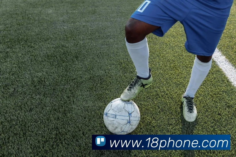 开云在线官网登录入口平台生态图