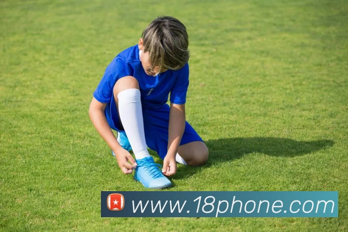 开云在线官网登录入口APP 封面图